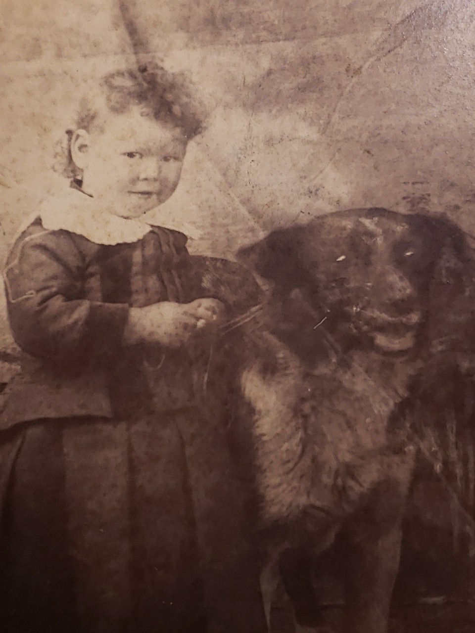 Antique 1890s Victorian Cabinet Card Photo Child in Pleated Dress & Shepherd Dog