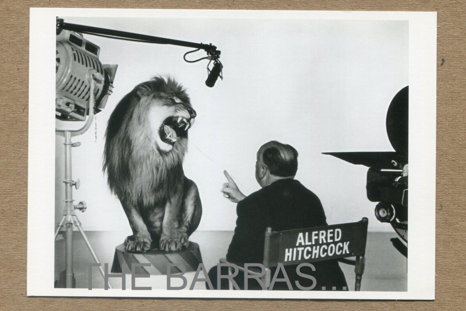 ALFRED HITCHCOCK, MGM LION, 1958 Photo Clarence Sinclair Bull FOTOFOLIO POSTCARD