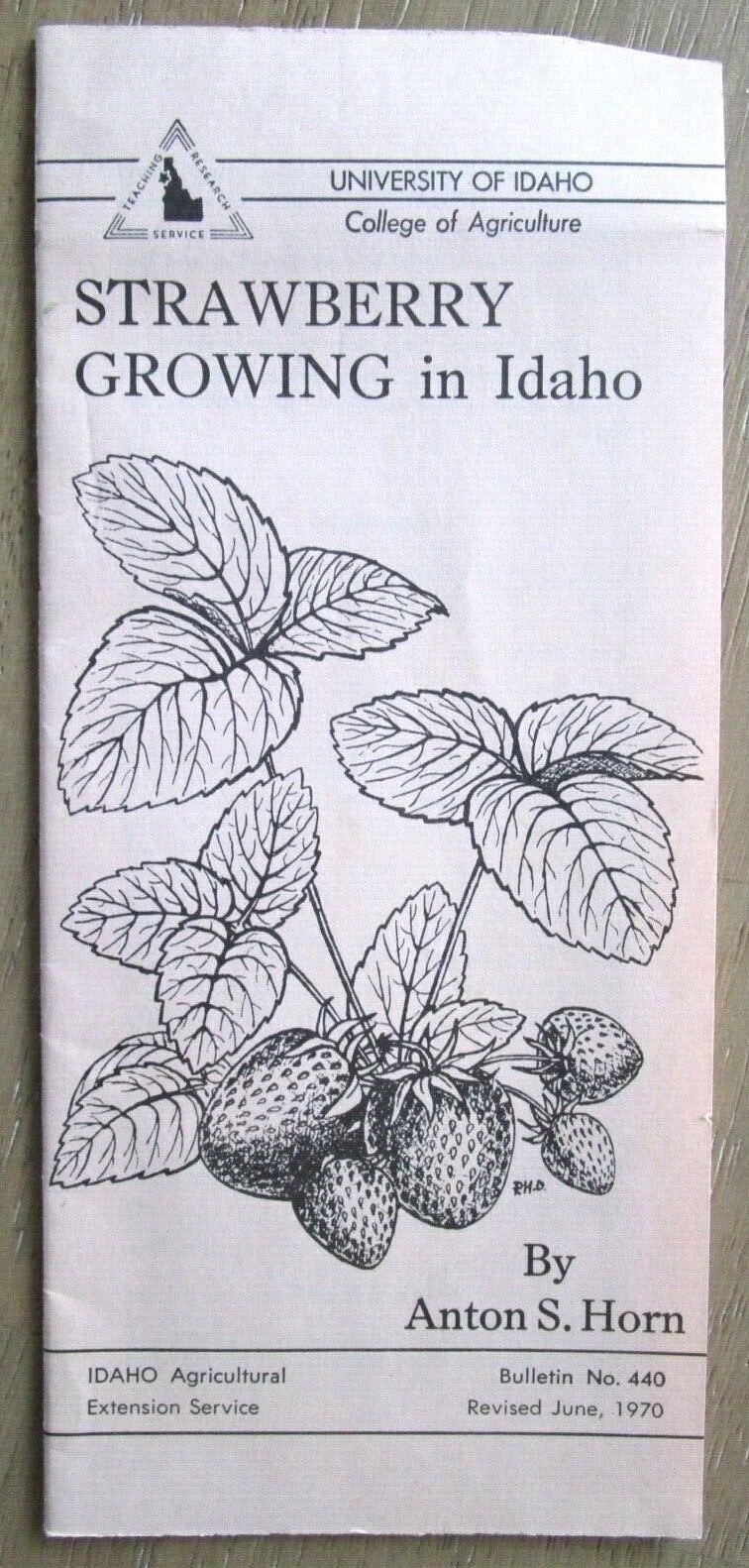 1970 UNIVERSITY OF IDAHO STRAWBERRY GROWING IN IDAHO BROCHURE -E5B-21