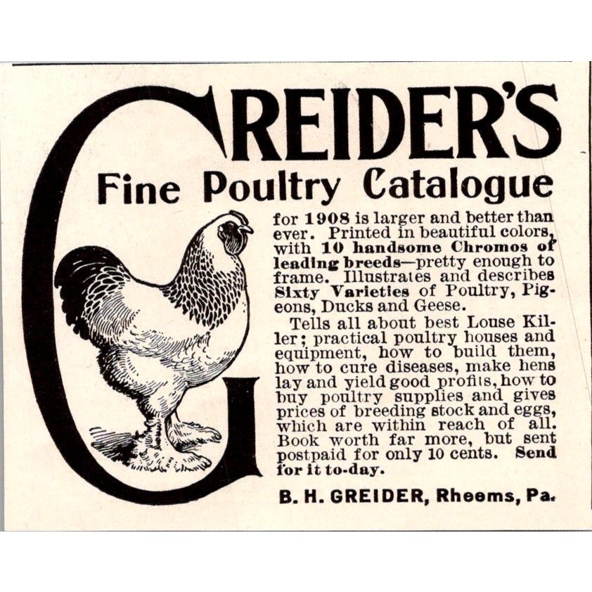 Greider\'s Fine Poultry B. H. Greider Sheems PA 1908 Magazine Ad SAH1-S2