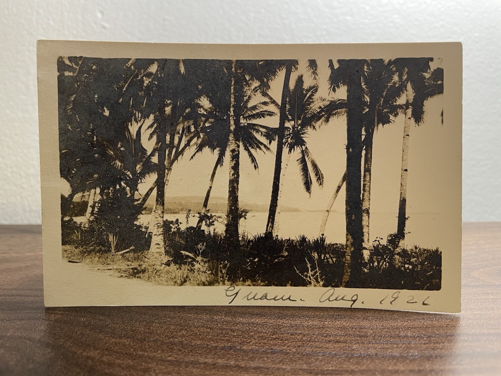 Antique Silver Gelatin Photograph \