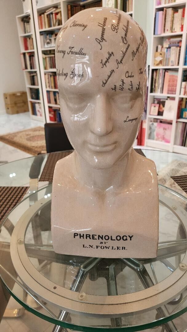 Phrenology large head - vintage look