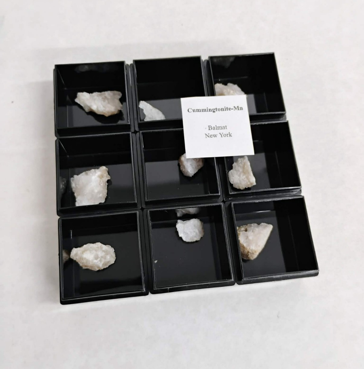 Cummingtonite in micro box small micro mineral specimen perfect holiday gift