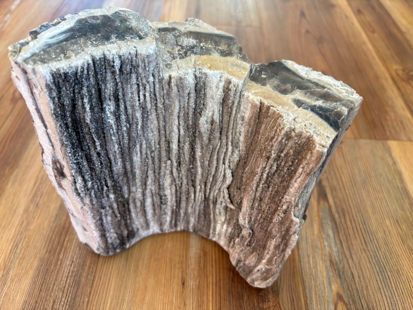 Rough Faced Petrified Wood~Perfectly Detailed~Freestanding w/ Crystals