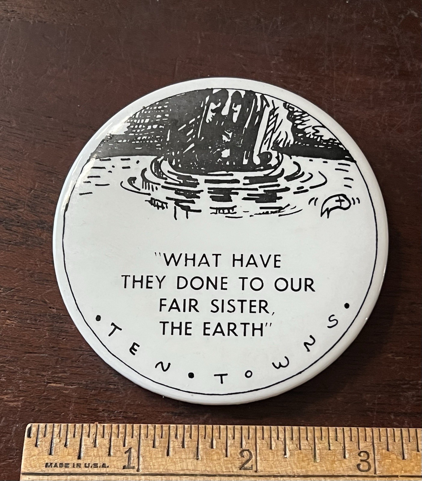 What Have You Done To Our Fair Sister the Earth, Ten Towns,Pinback Button
