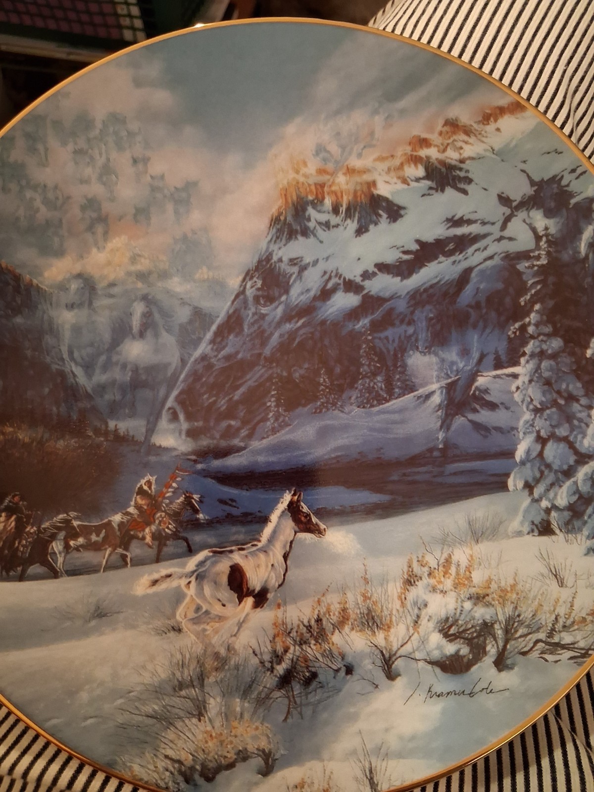 Running With The Wind By Julie K Cole Limited Edition Plate Touching The Spirit