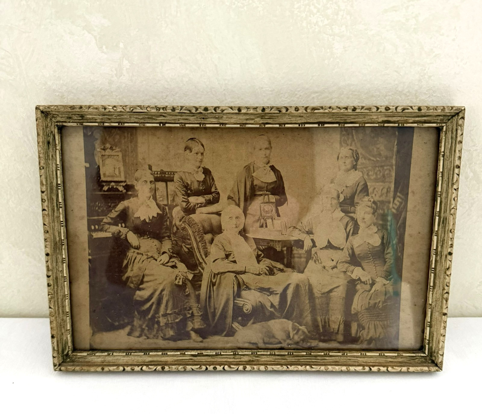 Antique 1800\'s Sepia Photograph Owsley Women Lincoln Chautauqua Illinois Dog