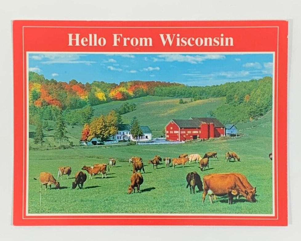 Hello From Wisconsin Postcard Cows Farm Unposted