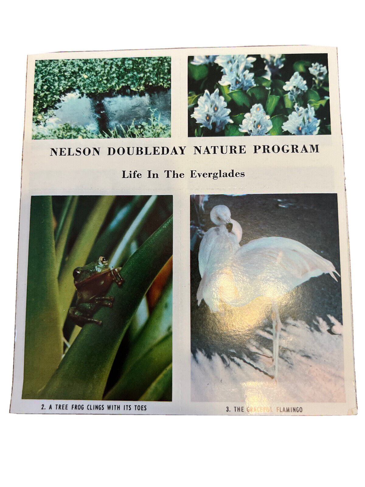 VTG National Audubon Society “Life In The Everglades”Sticker Sheet” Doubleday