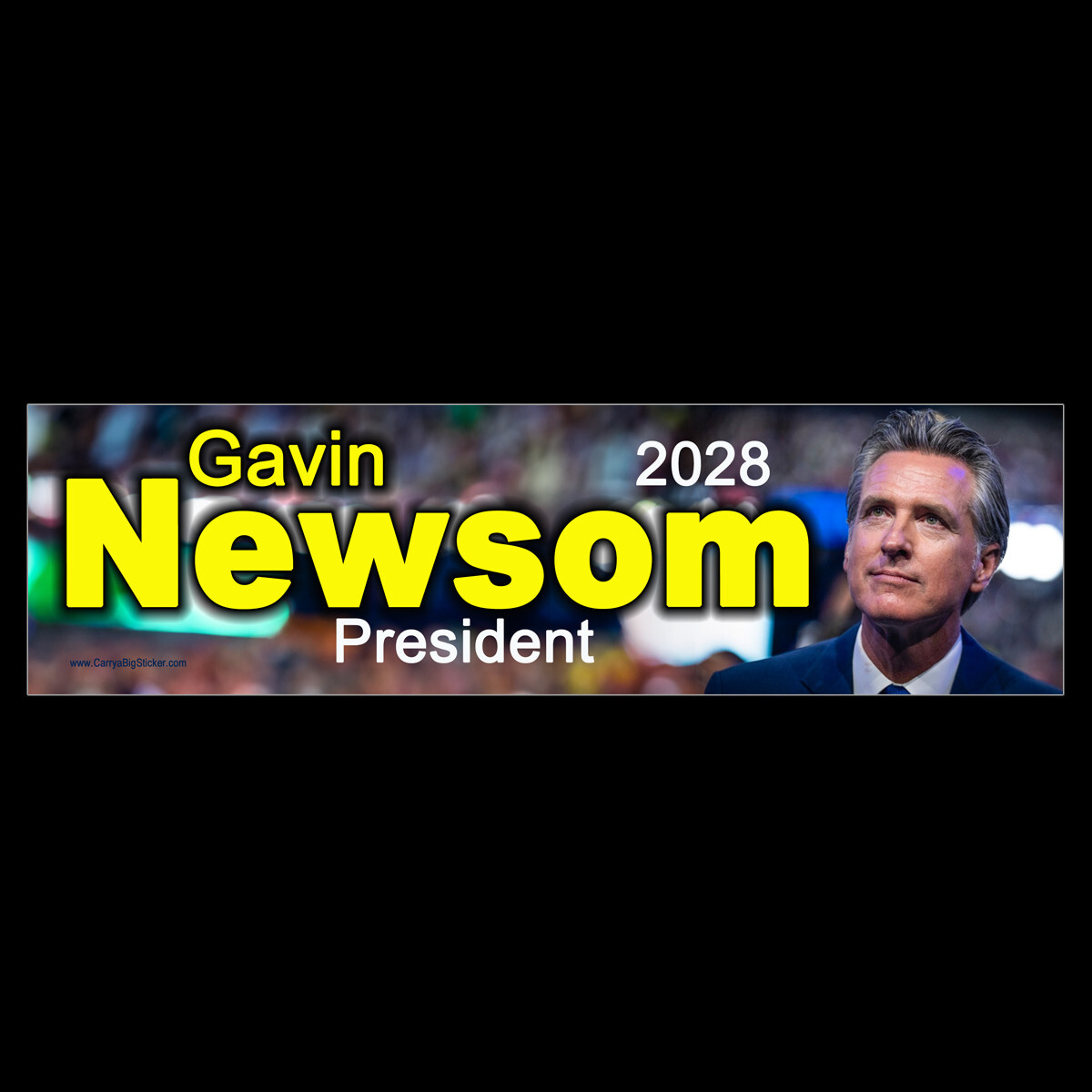 Gavin Newsom 2028 President BUMPER STICKER or MAGNET magnetic Gavin Newsom 2028 President BUMPER STICKER or MAGNET magnetic