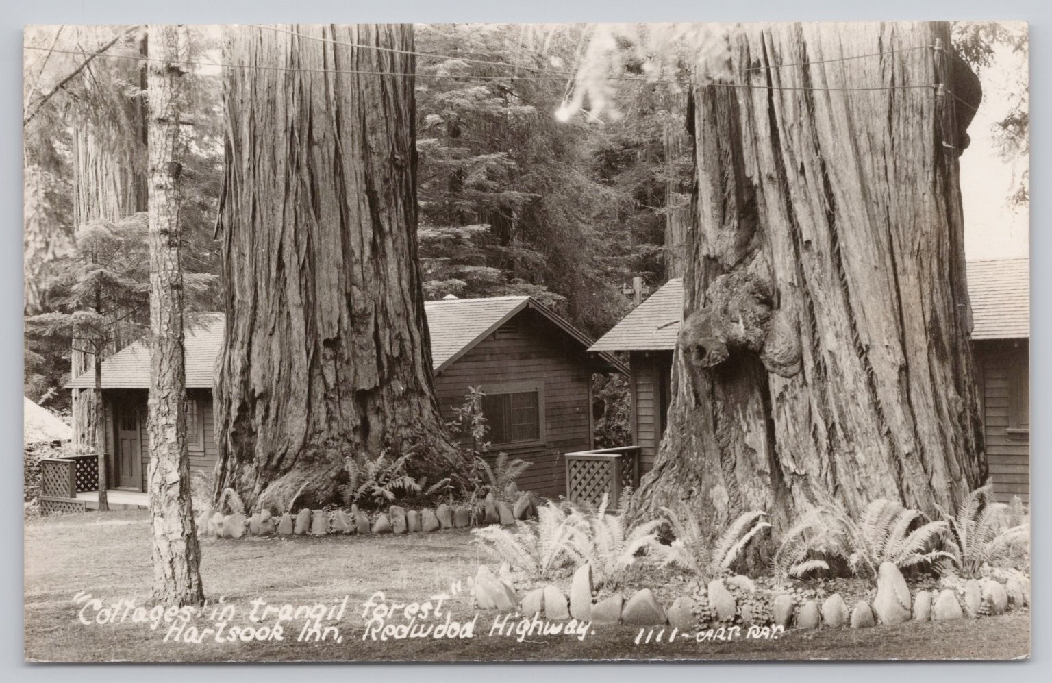 RPPC Hartsook Inn Redwood Highway California 1954 Postmark Real Photo Postcard