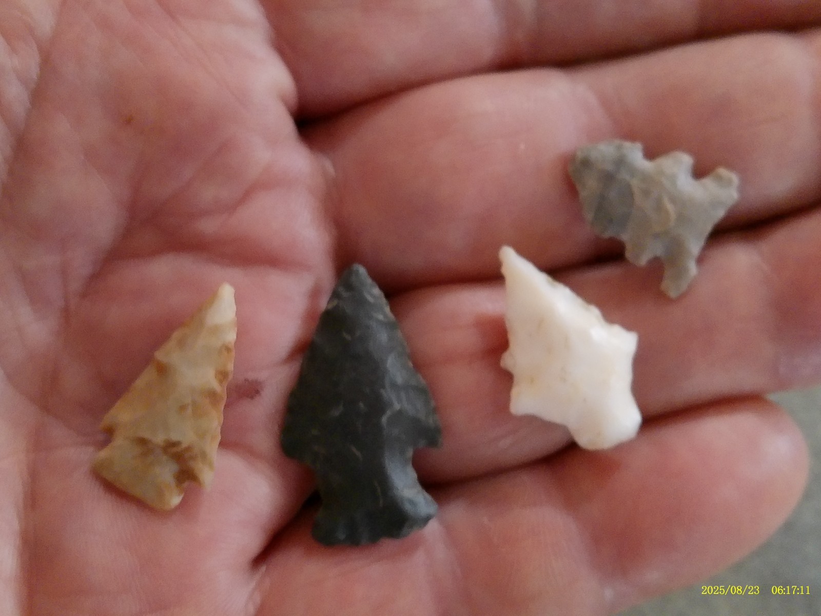 Authentic West Texas Bird Point Arrowheads Indian Artifacts *FREE SHIPPING* PR66