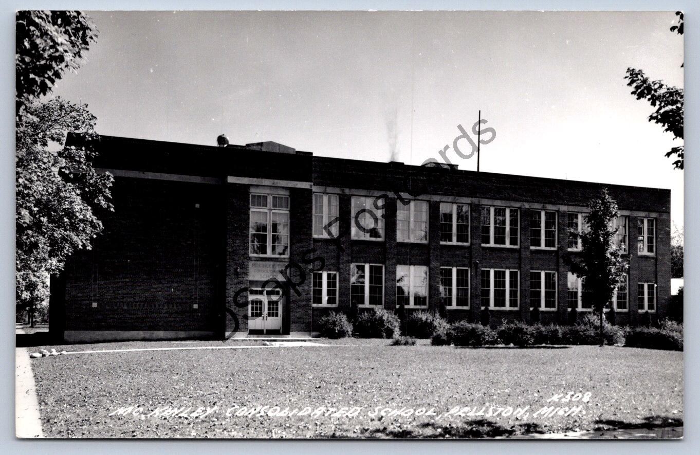 Michigan Rppc Postcard c1930-50s McKinley Consolidated School Beulah MI