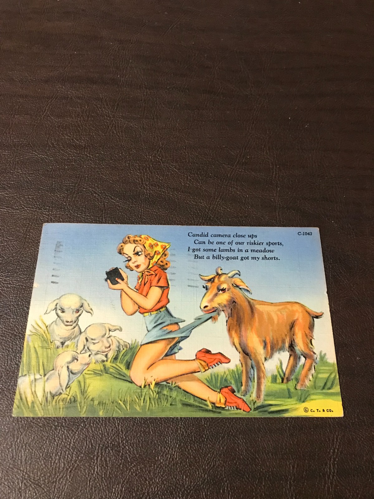 HUMOR - POSTED POSTCARD - CANDID CAMERA CLOSE UPS - DATED STAMPED 1939