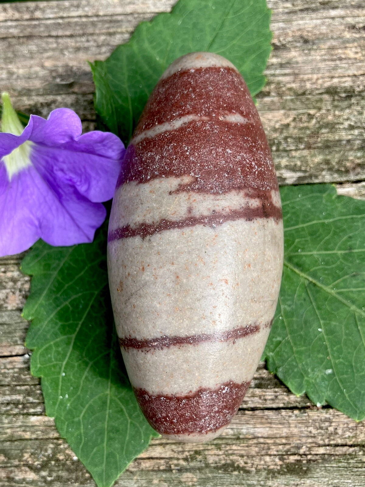 138g GENUINE SHIVA LINGAM HEALING STONE  Holy Narmada River, India REIKI