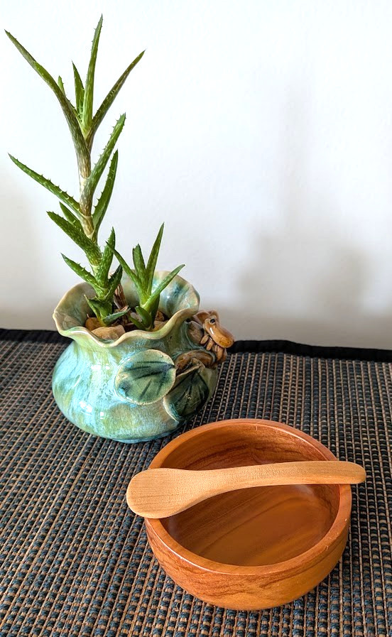 Handcrafted ANCIENT KAURI WOOD Condiment Dish & Spoon - Signed Robin Rive - NZ