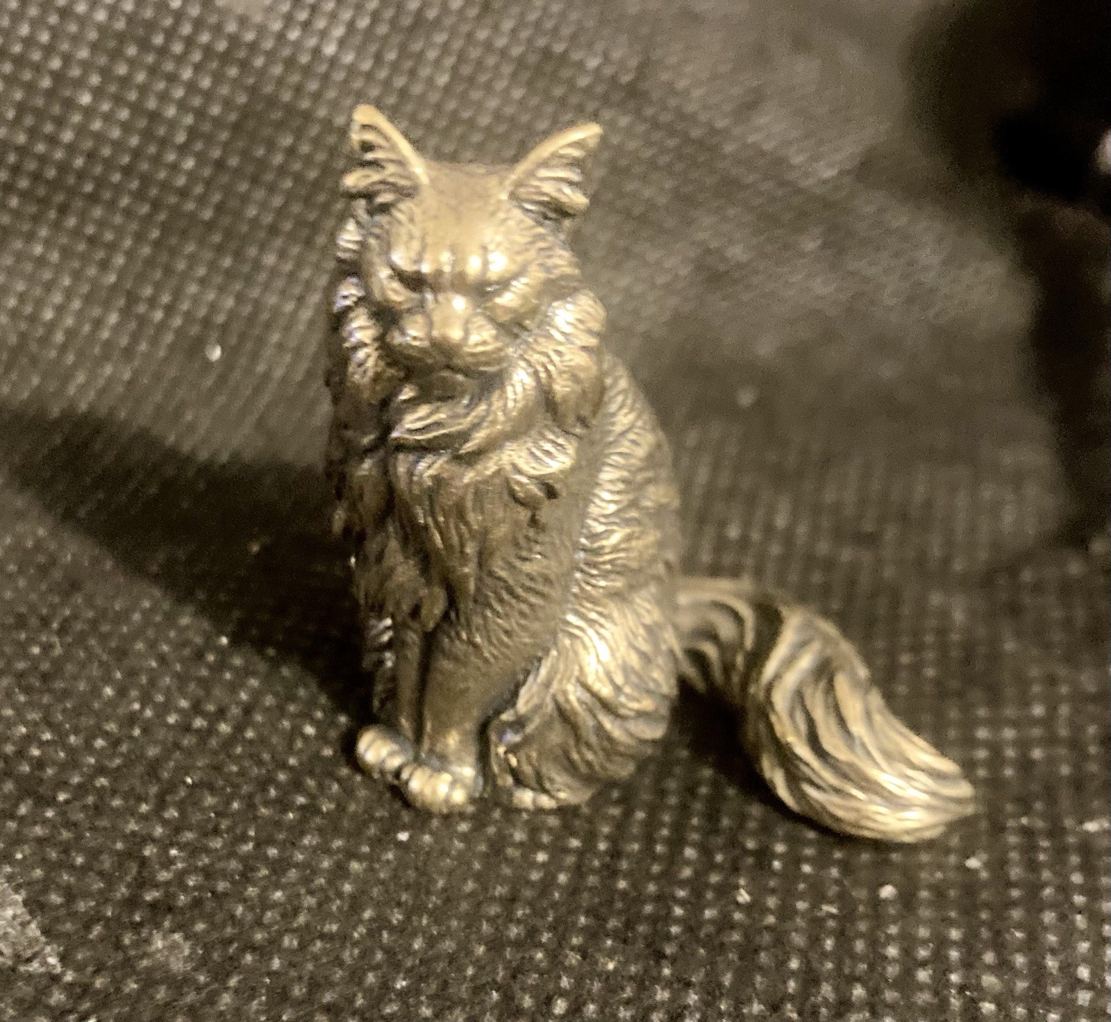 Maine Coon Cat 1 1/2