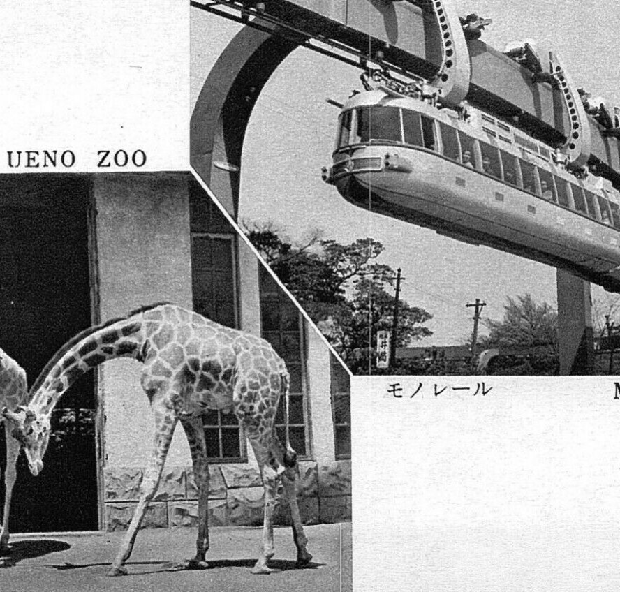 Ueno Zoo & Monorail Tokyo Japan Giraffes Postcard Black & White RPPC 