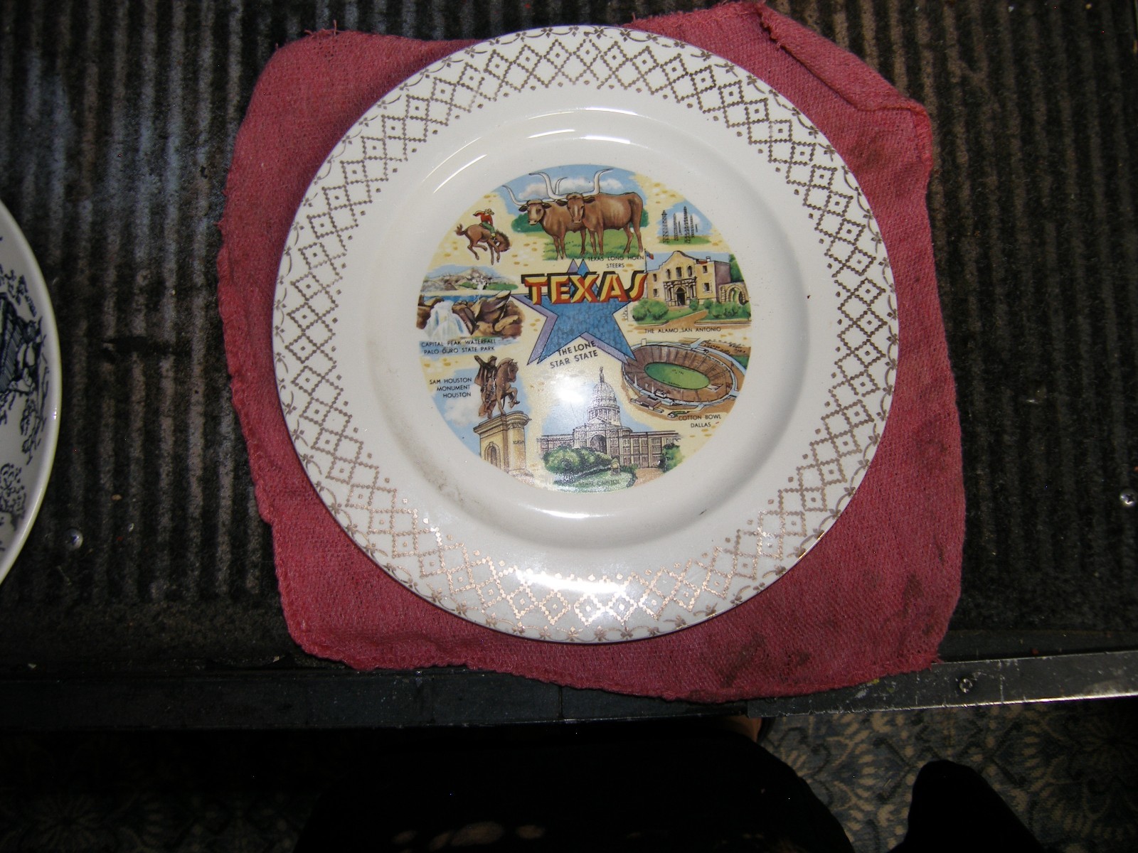 Texas State Souvenir Porcelain Collector Plate 10