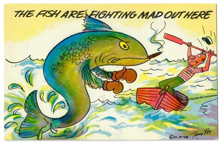 Vintage Humorous Fighting Mad Fishing Litho Postcard Vintage Humorous Fighting Mad Fishing Litho Postcard