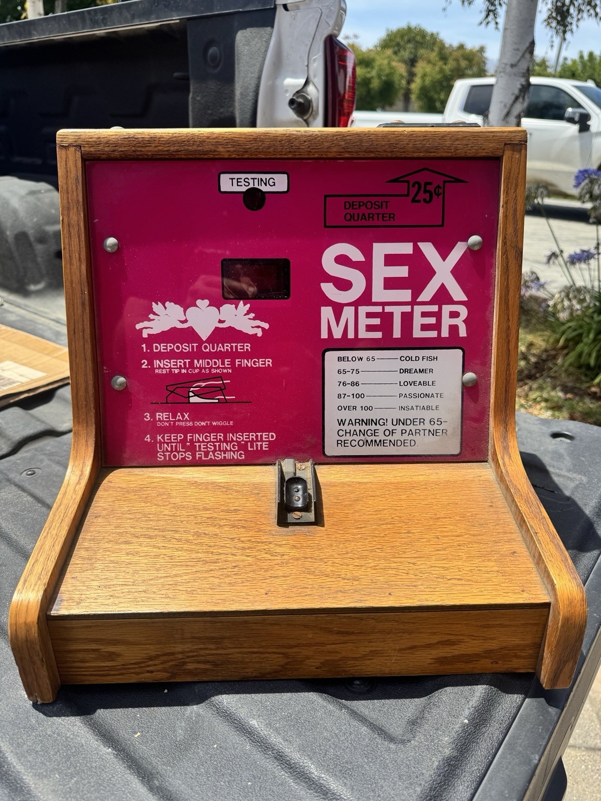 Sex Meter Quarter Coin Operated Impulse GameAre You Lovable Or Insatiable?