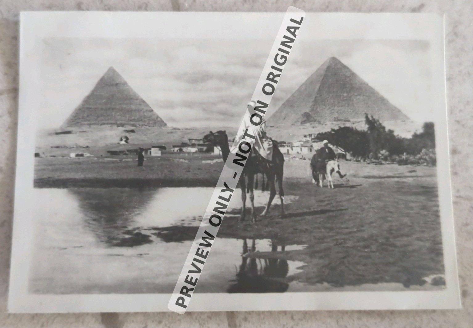 c1930s Cairo Egypt Pyramids Camel Rider Real Photo Vintage Album Photograph