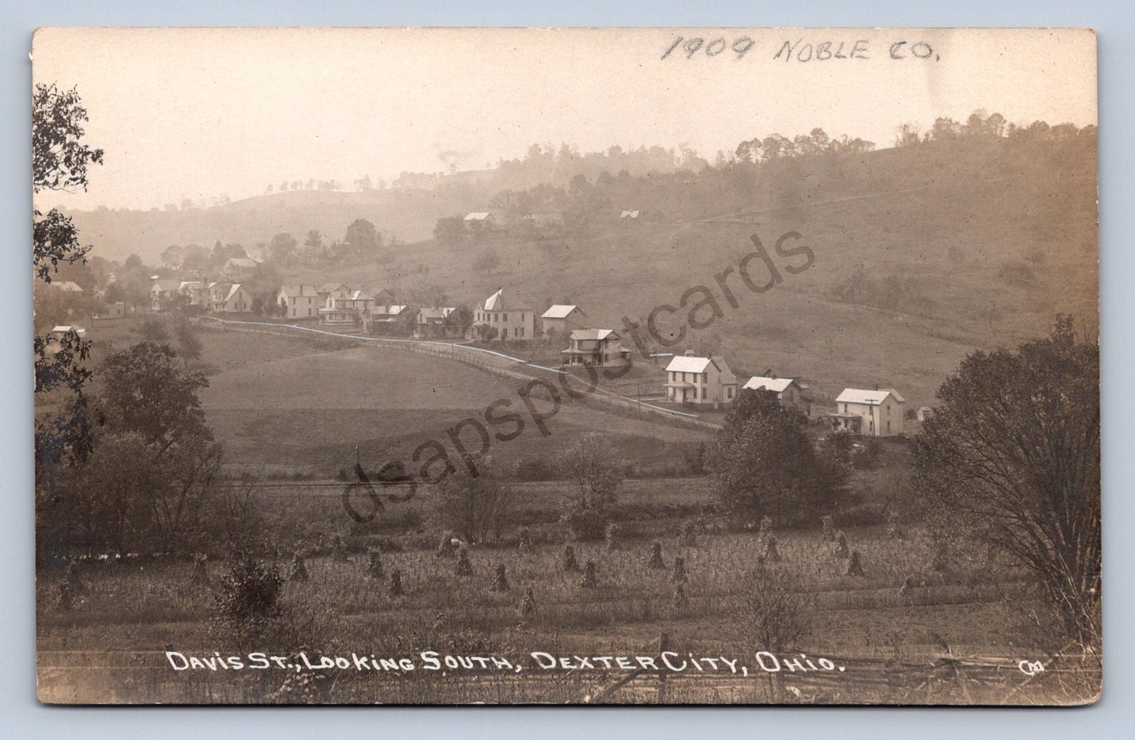 J87/ Dexter City Ohio RPPC Postcard c1910 Davis St Home Noble County 749