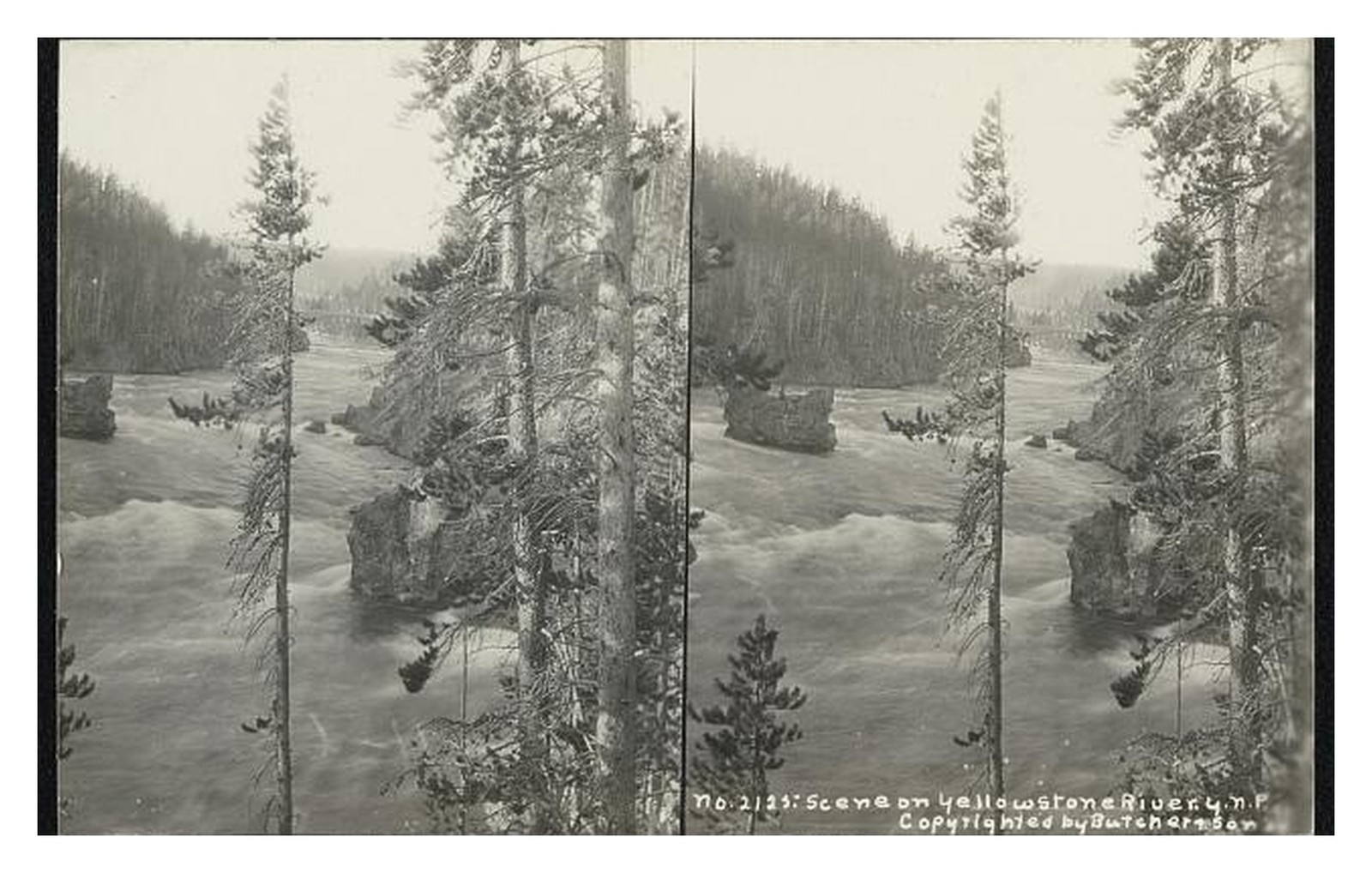 Yellowstone River Yellowstone NP Standard Postcard Yellowstone River Yellowstone NP Standard Postcard