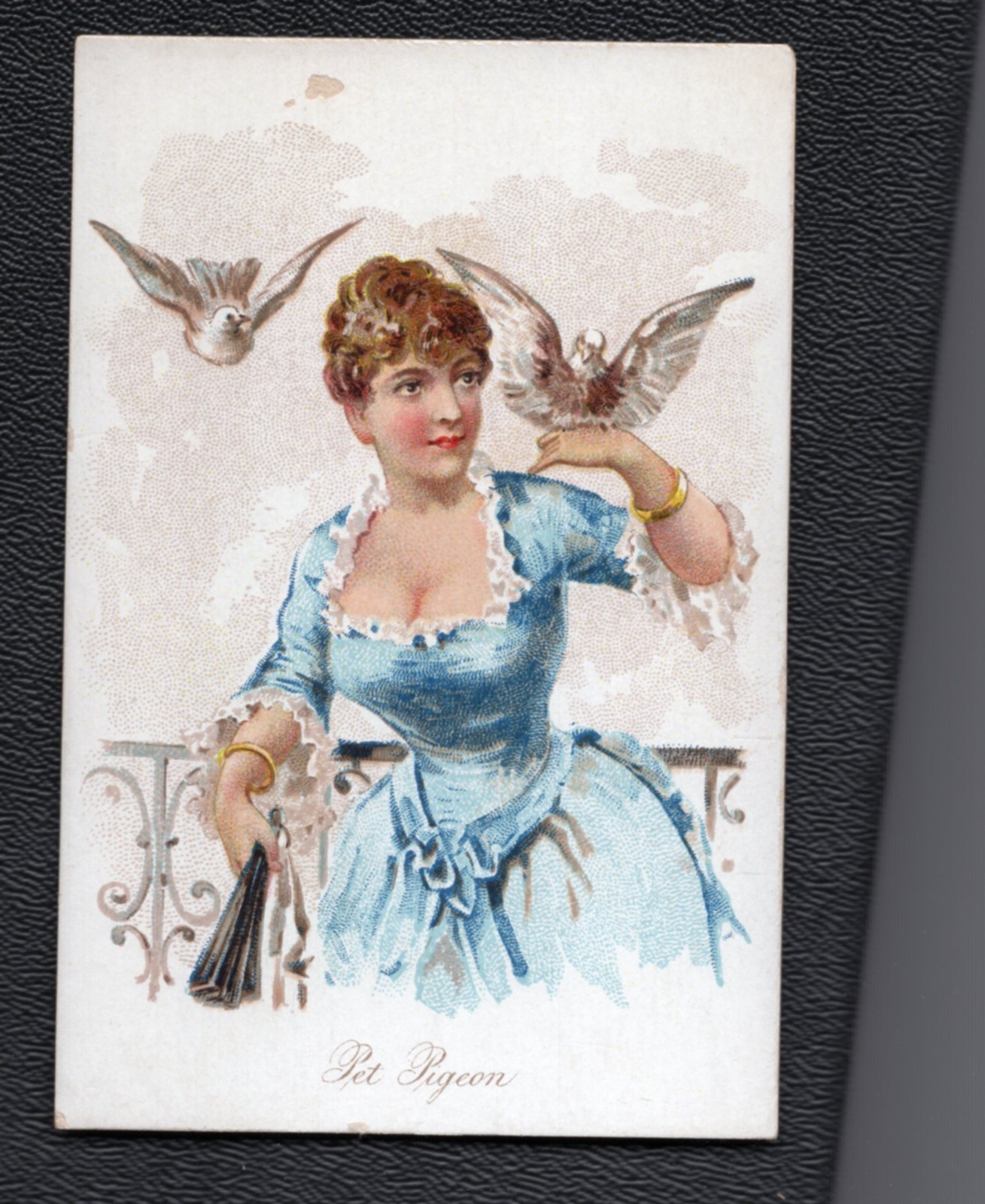 1891 N194 Wm S. Kimball & CO. Household Pets Pet Pigeon - 15 1891 N194 Wm S. Kimball & CO. Household Pets Pet Pigeon - 15