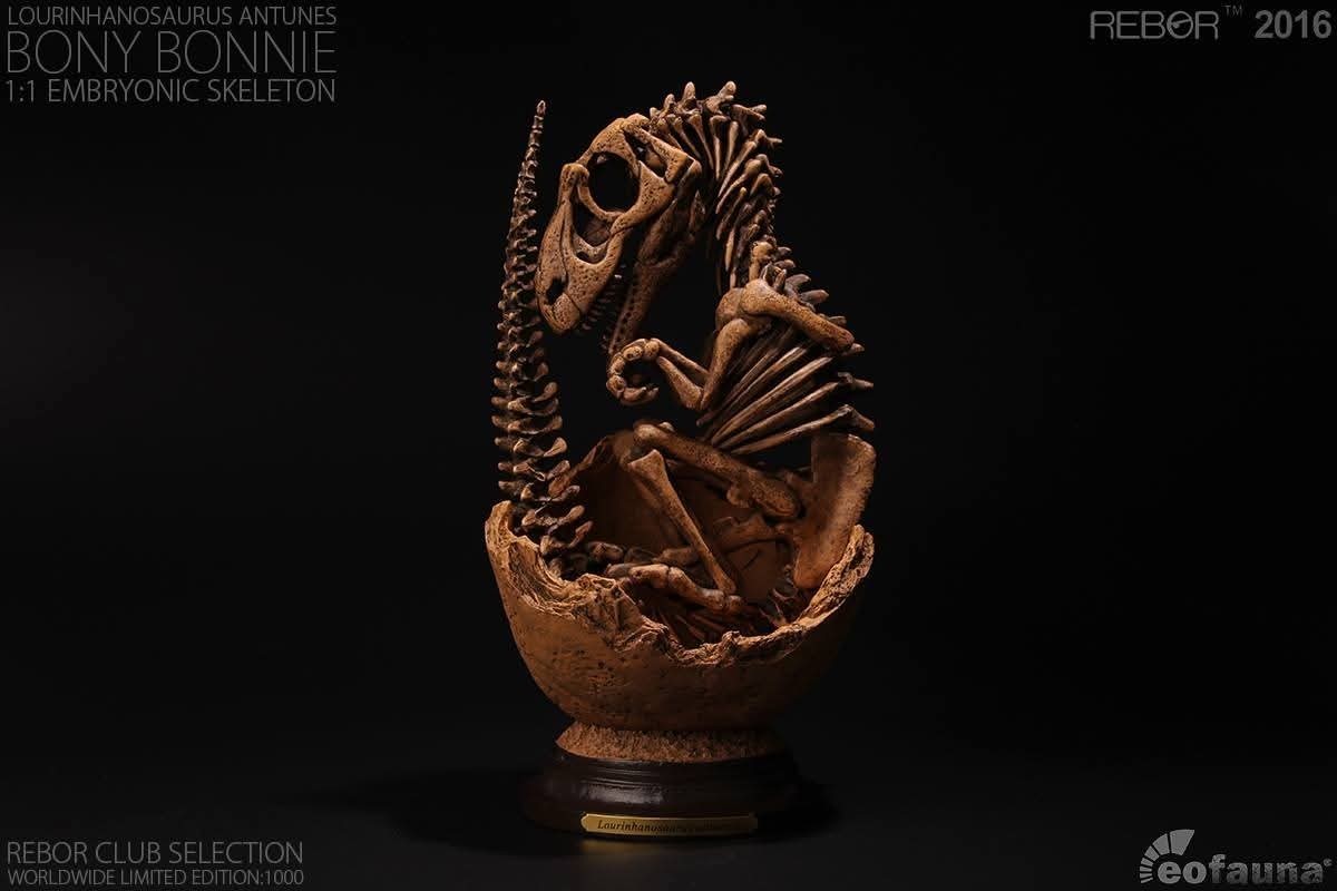 REBOR BONY BONNIE Lourinhanosaurus Embryonic Skeleton Limited #122 Of 1000 Made REBOR BONY BONNIE Lourinhanosaurus Embryonic Skeleton Limited #122 Of 1000 Made
