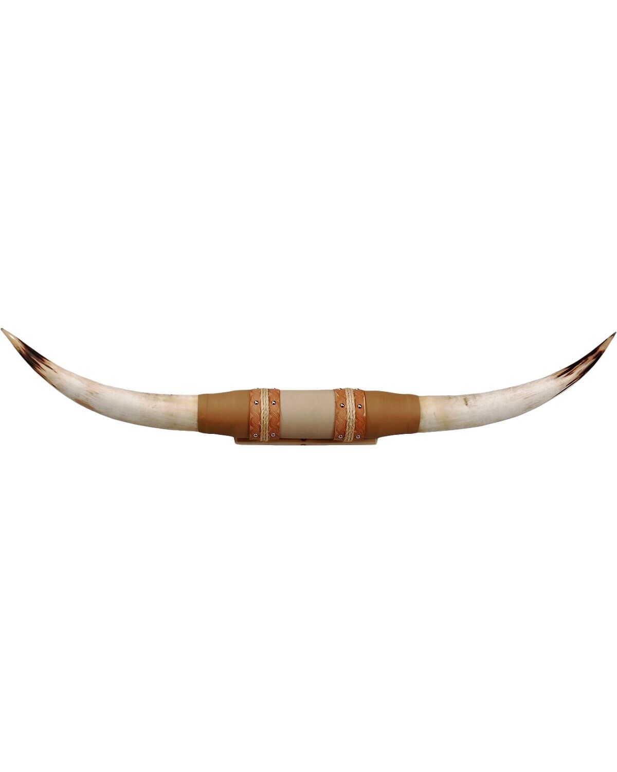 Authentic Large Steer Horns Tan