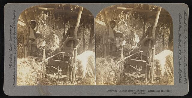 Photo:Philippines 1906 Manila Hemp Industry Fiber Extraction Workers