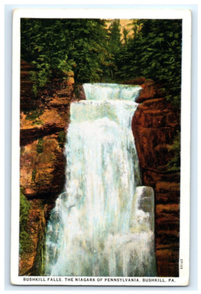 Vintage Postcard Bushkill Falls The Niagara of Pennsylvania PA Water Falls