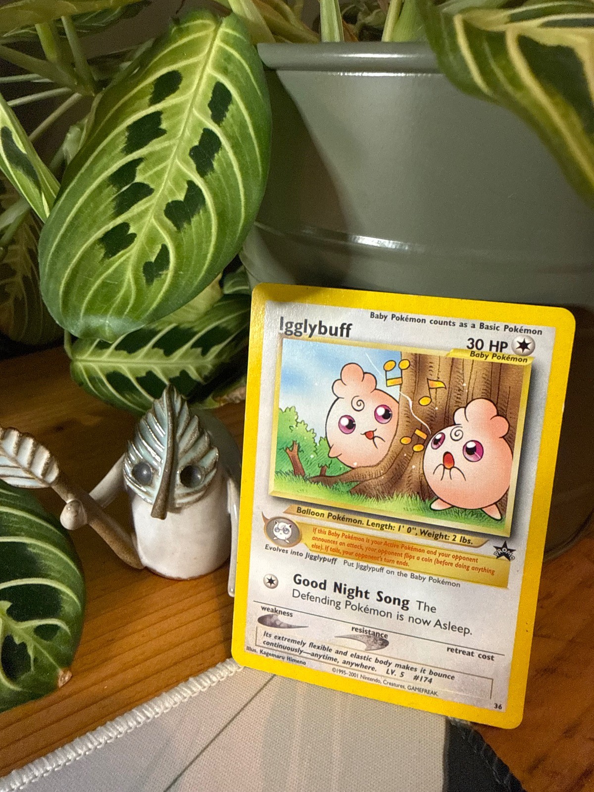Igglybuff 36 Promo Wizards Black Star Promos Pokemon LP Igglybuff 36 Promo Wizards Black Star Promos Pokemon LP