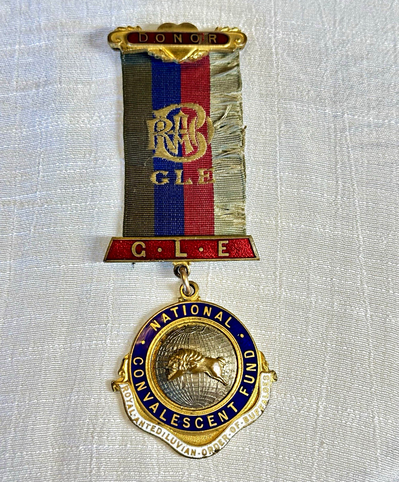 Grand Lodge of England Medal Fraternal Buffaloes Donor Jewel Vintage 1950s/1960s
