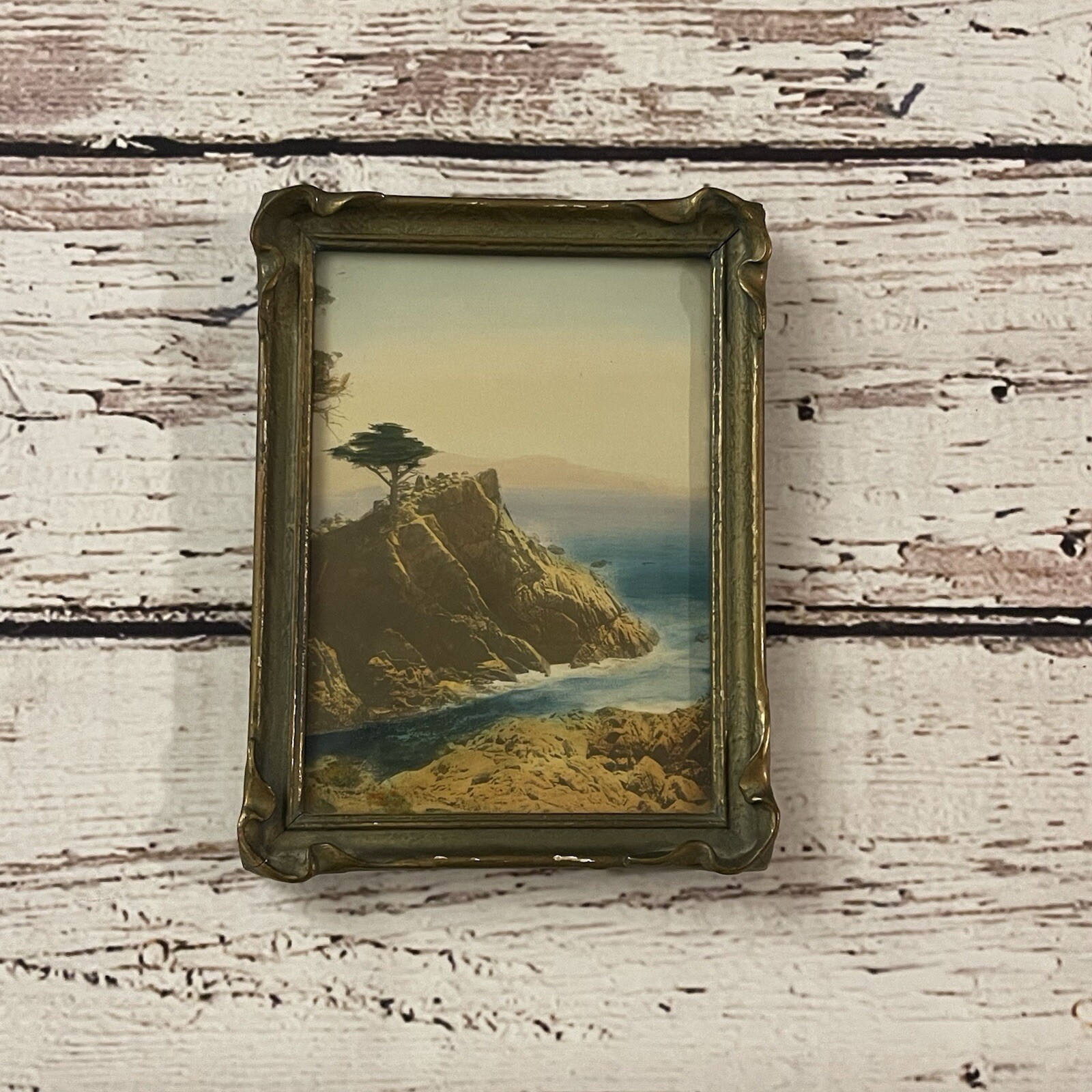 Antique Lone Cypress Monterey California Hand-Tinted Photo 1910 6x8 Rare Art