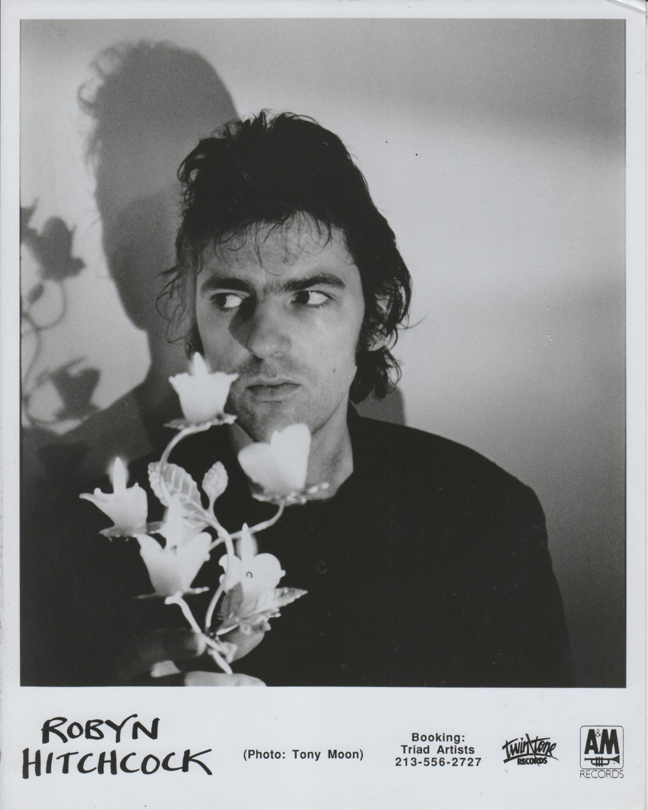 British Alternative Musician ROBYN HITCHCOCK B&W 8x10 Publicity PHOTO