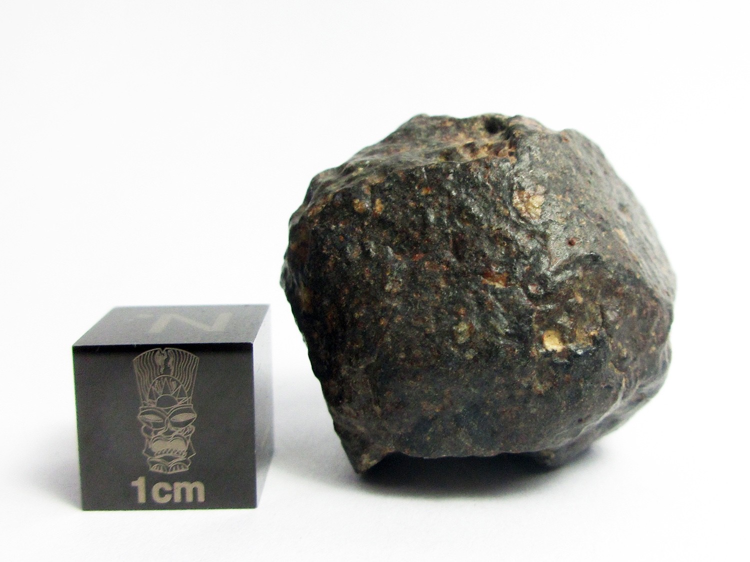 NWA 869 Meteorite 20.86g Awesome Aerolite 