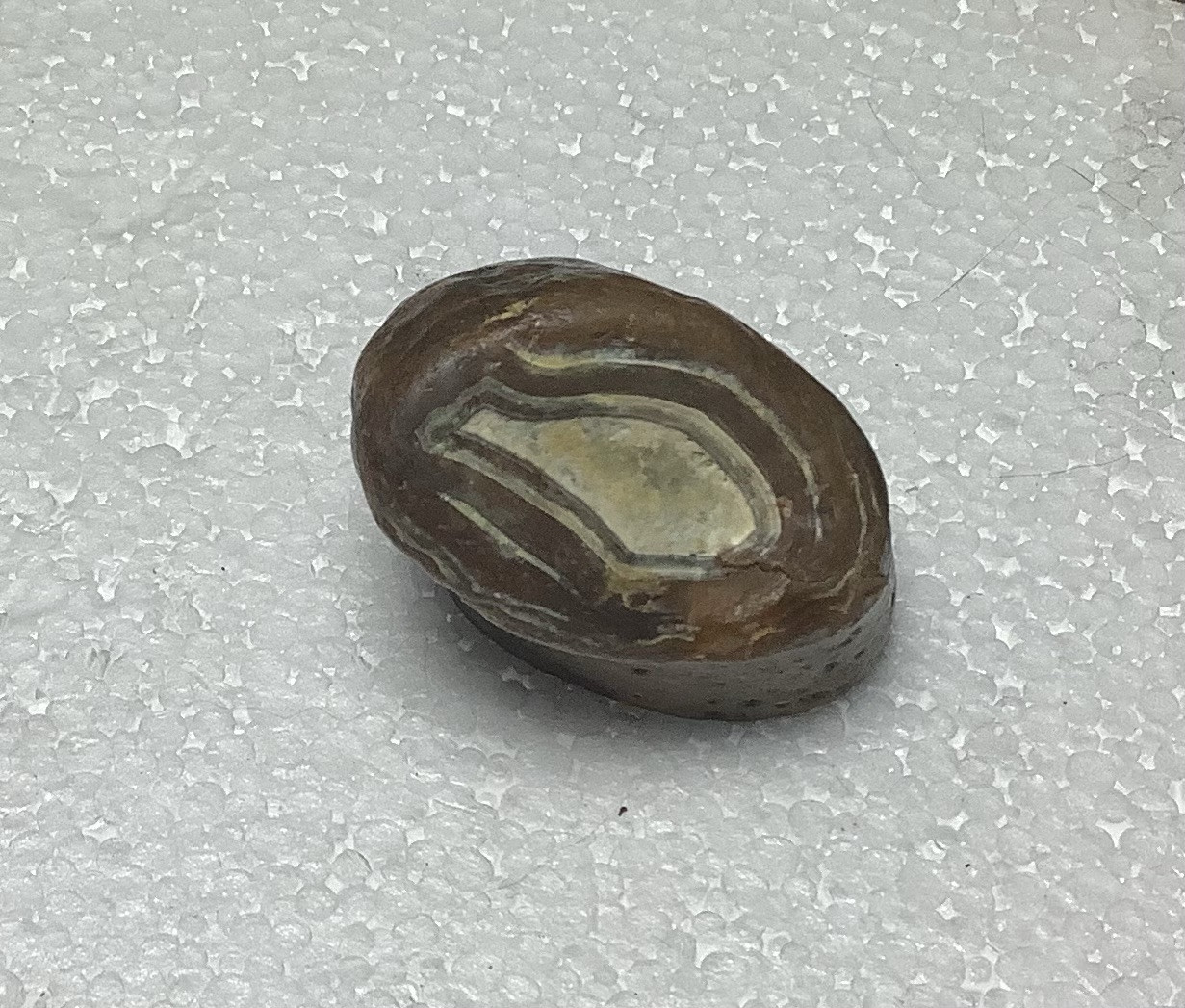 South Pacific Island Agate, Collector, 30x50x60mm Lightly Polish Face 126G, #276
