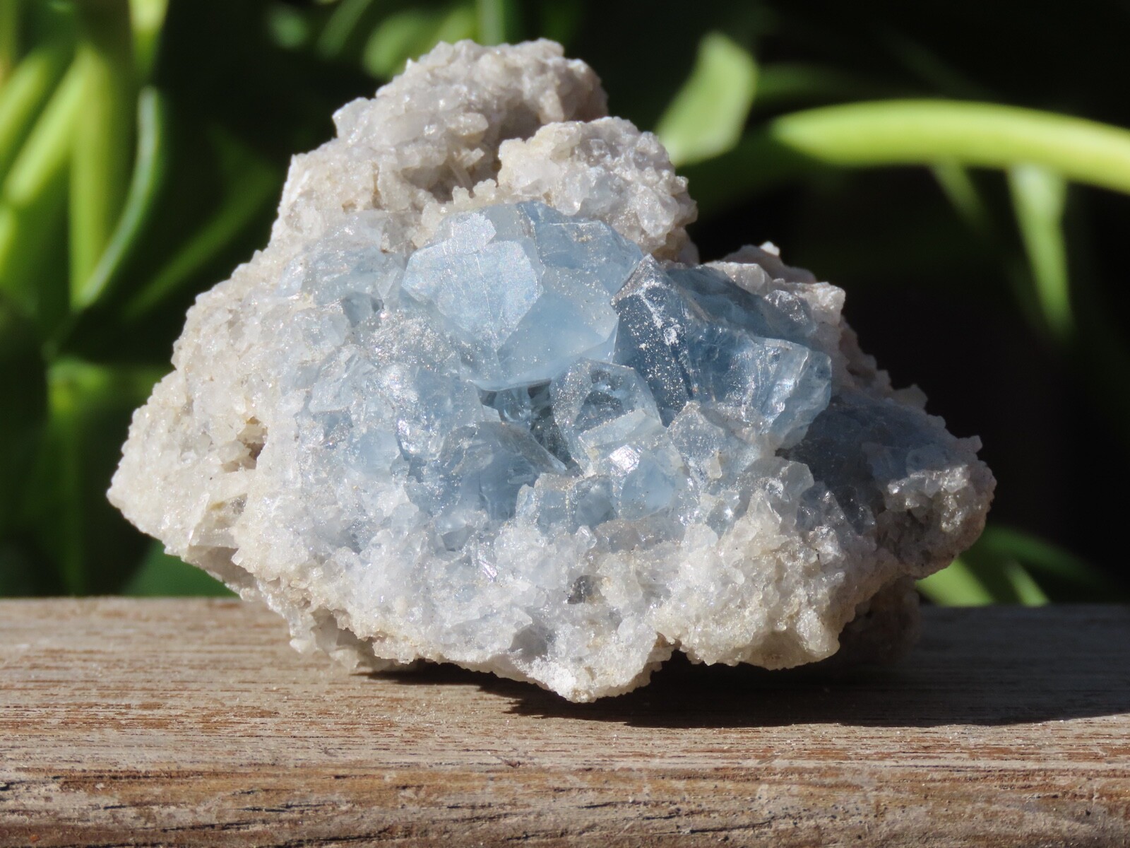 Raw Blue Celestite Crystal Cluster 319Grams Natural