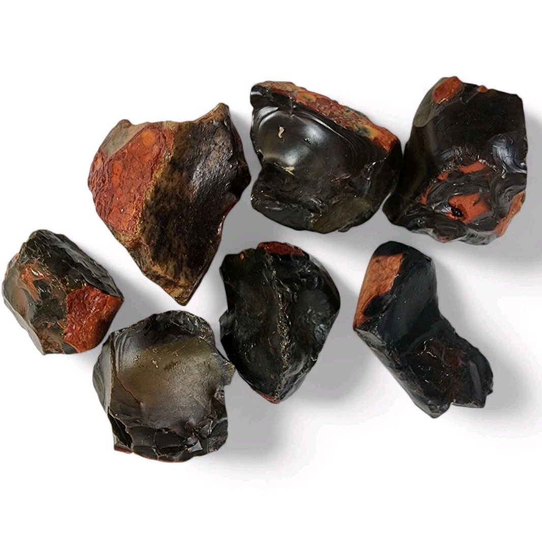 Dino Jasper Rough Pieces 140.5 grams.