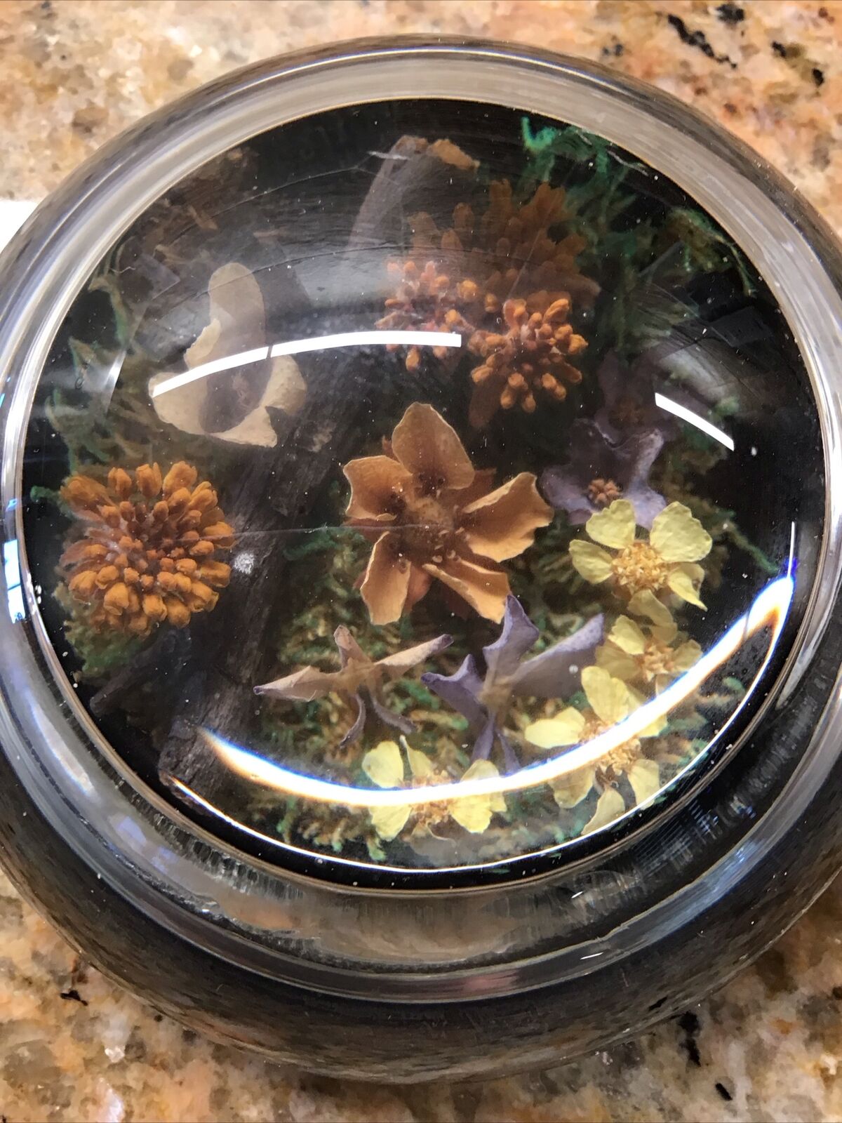 Vintage Flowers Glass Dome Paperweight Dried Florals 3.25\