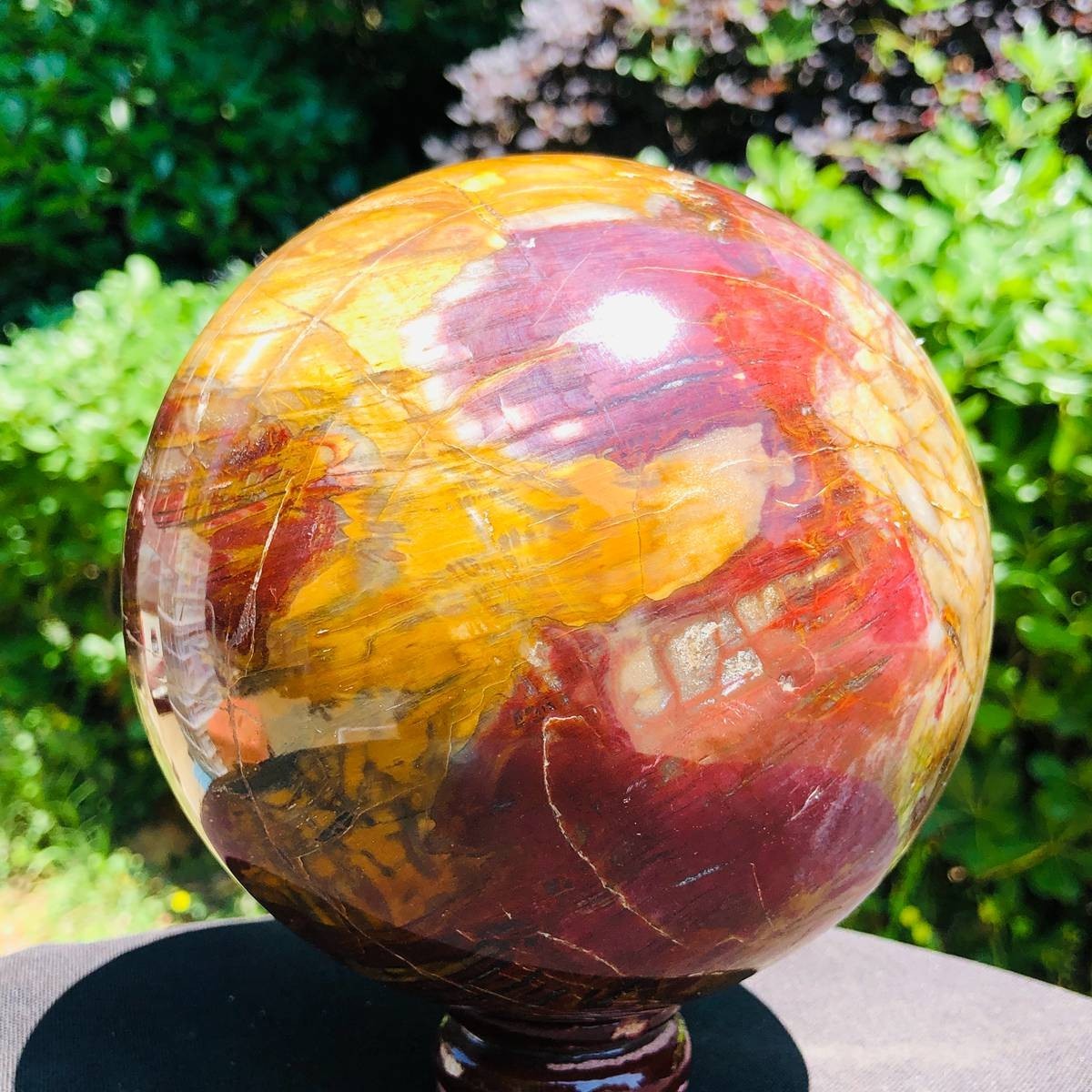 6.86 LB Large Natural Petrified Wood Agate Sphere Crystal Healing Specimen 5675