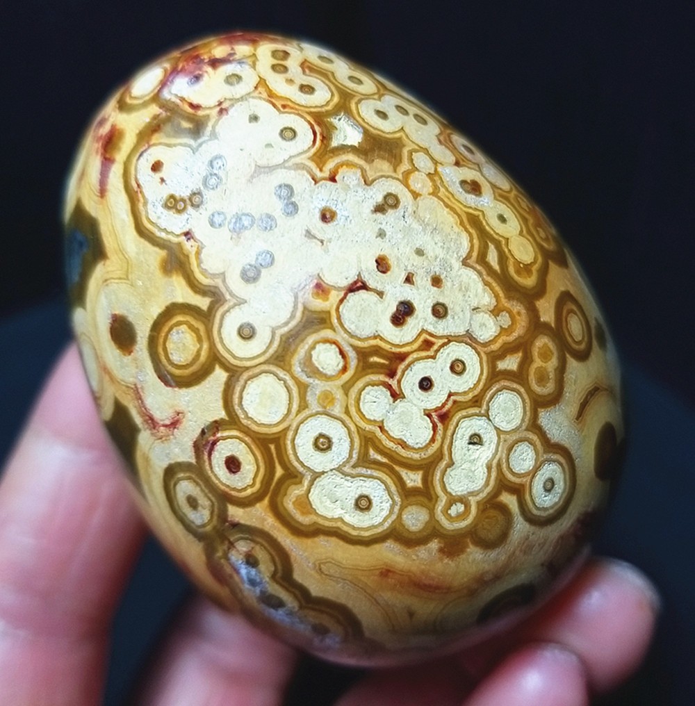 157.7G Natural Polished Orbicular Ocean Jasper 8th Vein Reiki Egg Healing B1578