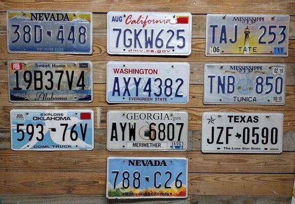 Variety of 10 expired 2013 Mixed State craft condition License Plate  38D 448