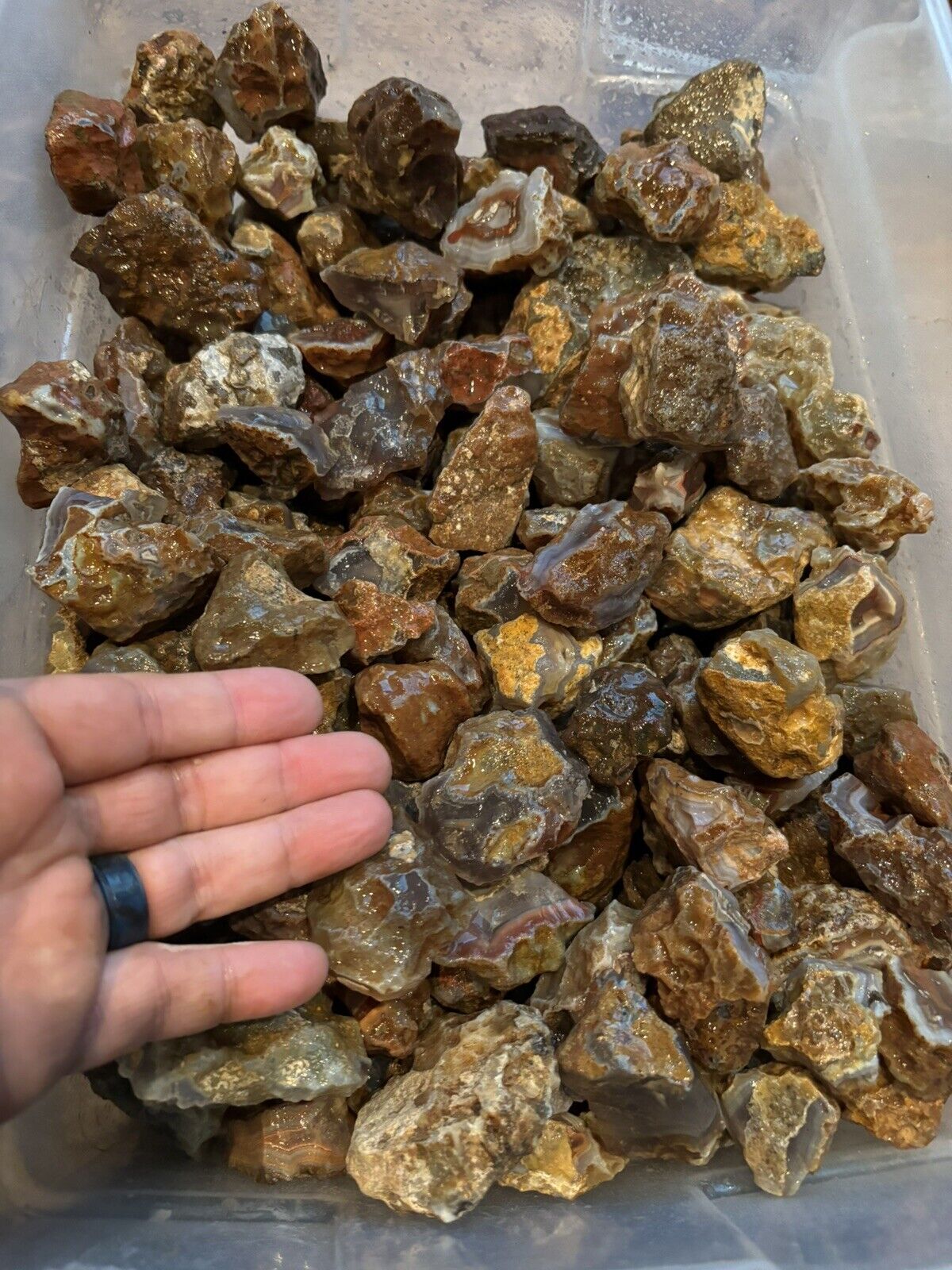 ROCK DADDY SPECIAL - 10lbs of Medium Malawi Agate Rough.    Lapidary Rough