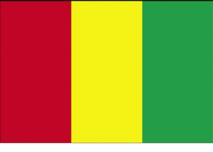 GUINEA FLAG - NEW 3 x 2 FT - COUNTRY NATIONAL