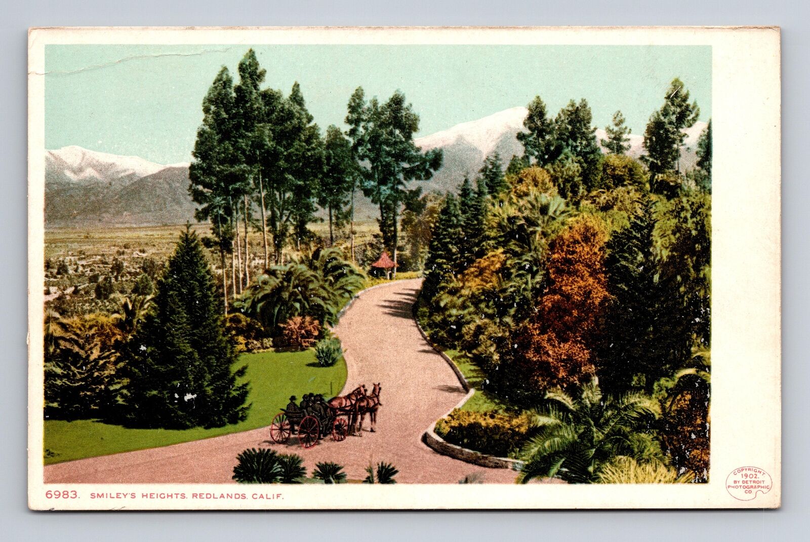 c1902 UDB Postcard Redlands CA California Scenic Smiley\'s Heights Horse Carriage
