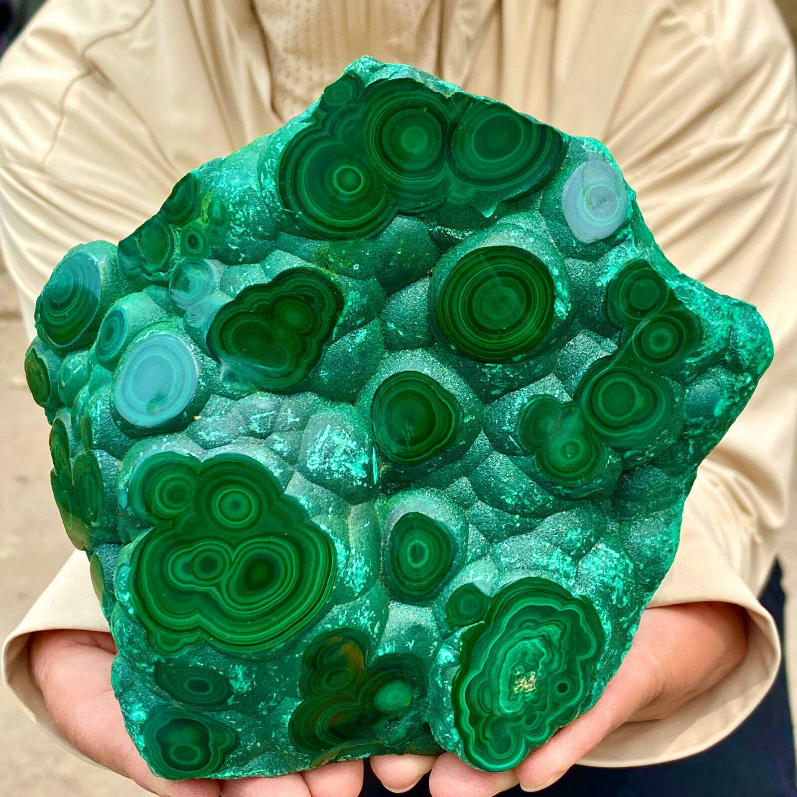 2.9LB Natural glossy malachite cat eye transparent cluster  rough mineral sample