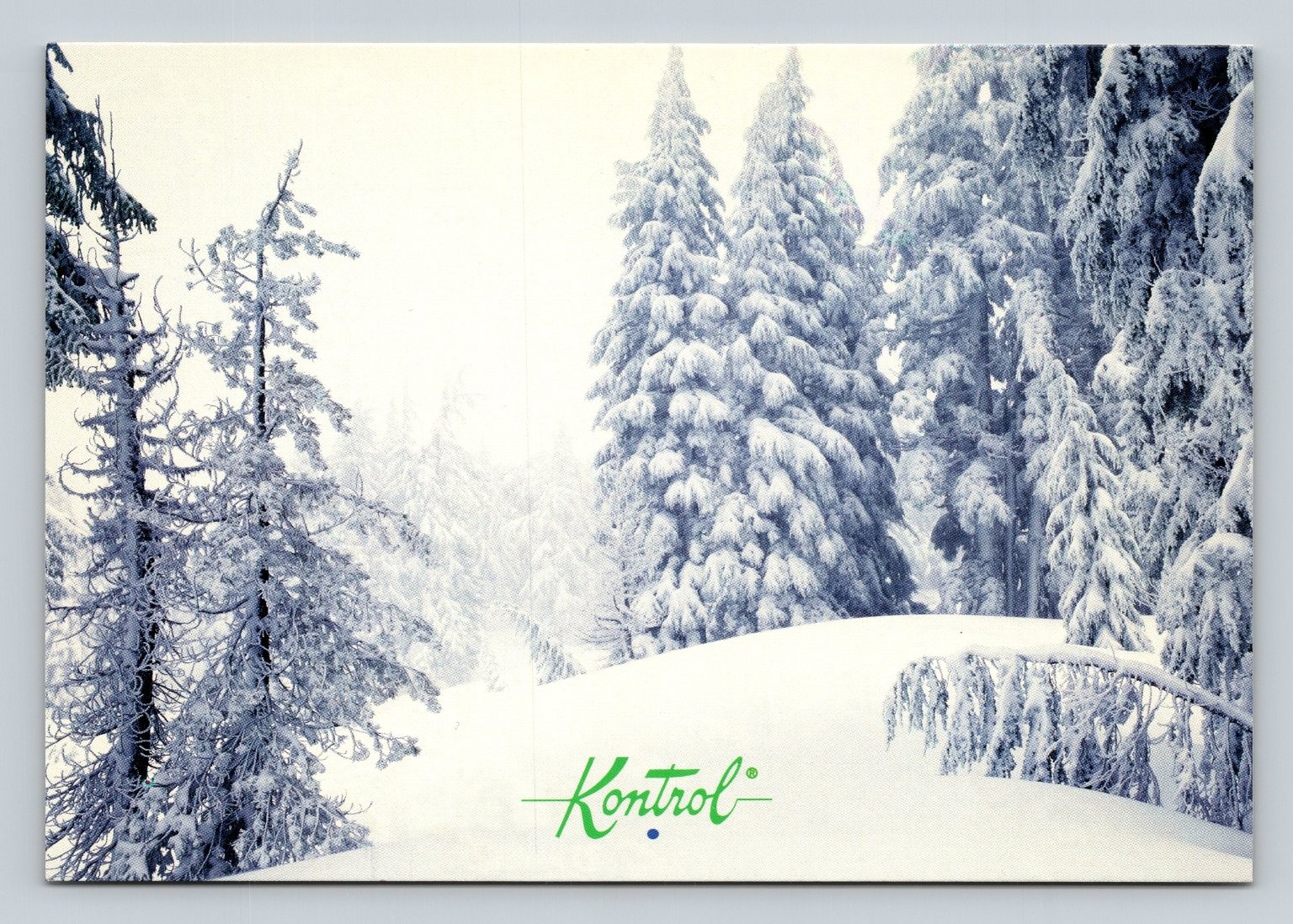 Vintage Kontrol Toothpaste Snowy Forest Winter Scene Postcard